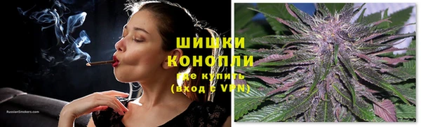 хмурый Бронницы