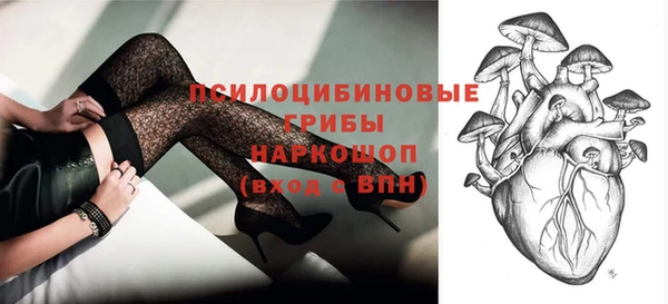 хмурый Бронницы