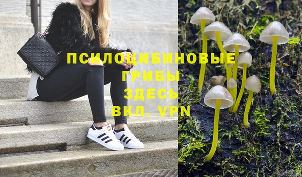 хмурый Бронницы