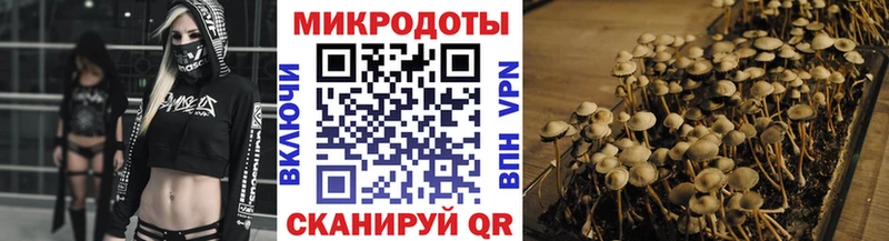 Галлюциногенные грибы Magic Shrooms  KRAKEN зеркало  Мензелинск  сколько стоит 